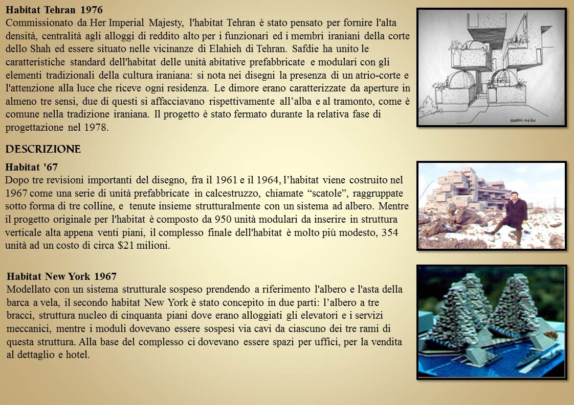 Diapositiva13